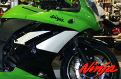 Ninja250 ߃p[c